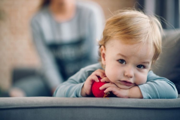 descripci�n del servicio