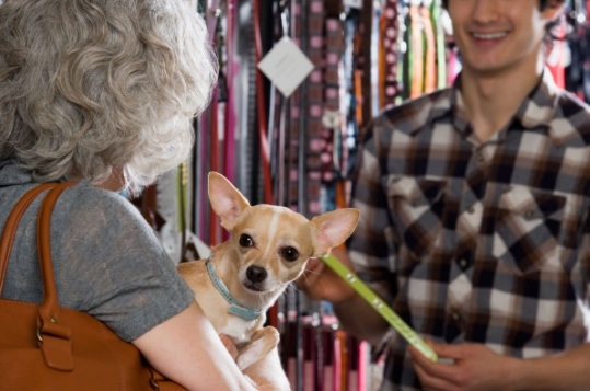 qu significa el trmino pet friendly?